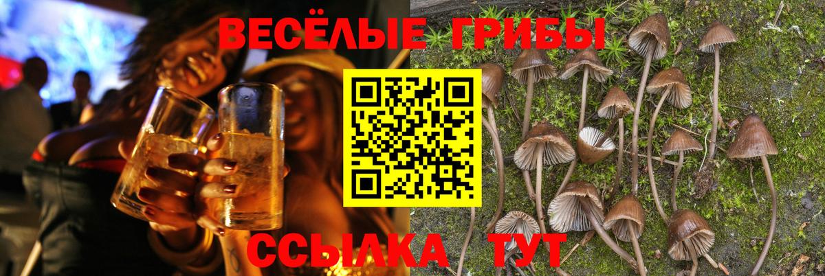 Псилоцибиновые грибы мухоморы Луховицы